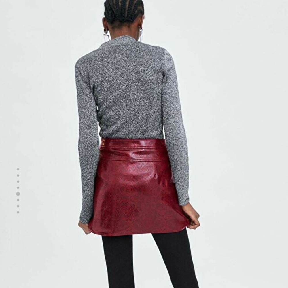 Zara Snake Print Skirt